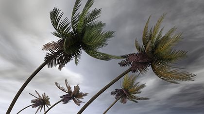 condo hurricane preparedness