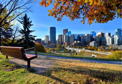 calgary condo management