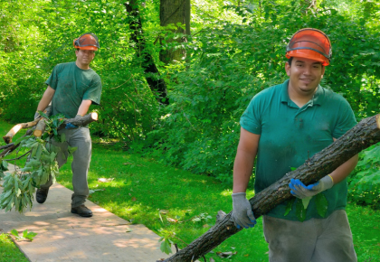 storm cleanup in texas hoa coa recovery