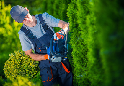 Man in overall trimming a hedge